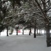 la grande nevicata del febbraio 2012 030